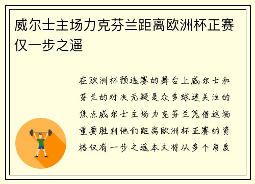 威尔士主场力克芬兰距离欧洲杯正赛仅一步之遥